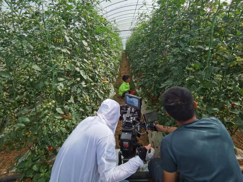 咸宁产品宣传视频拍摄公司进阶指南，助力品牌抢占传播高地